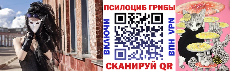 Псилоцибиновые грибы GOLDEN TEACHER hydra рабочий сайт Котельниково купить наркотики сайты