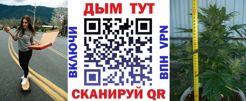 Шишки марихуана план  Котельниково 